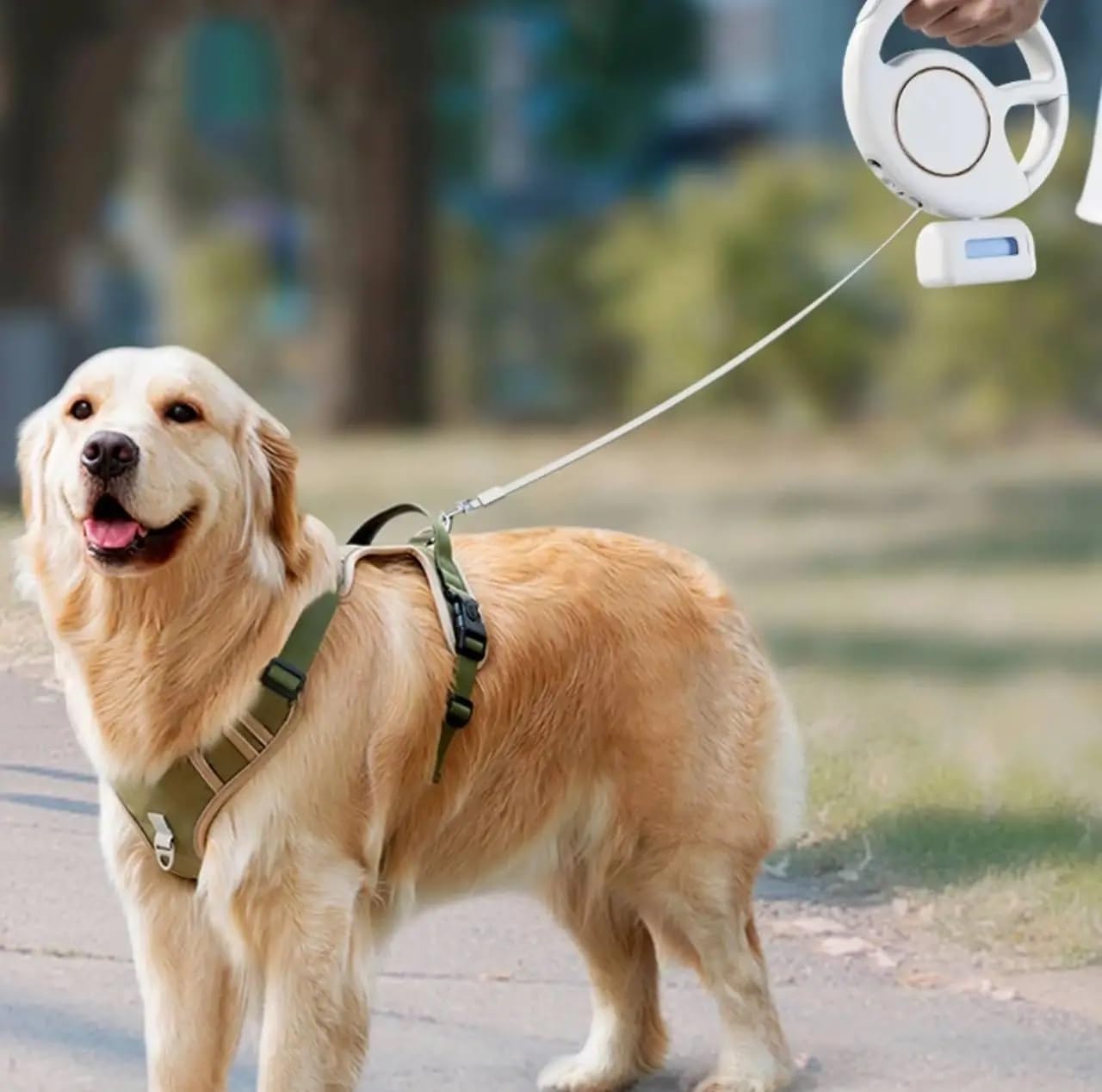 Retractable Dog Leash 10Ft/3M - Rechargeable Pet Leash With Led Flashlight One-Handed Brake Ring Buckle Locker & Poop Bag Dispen