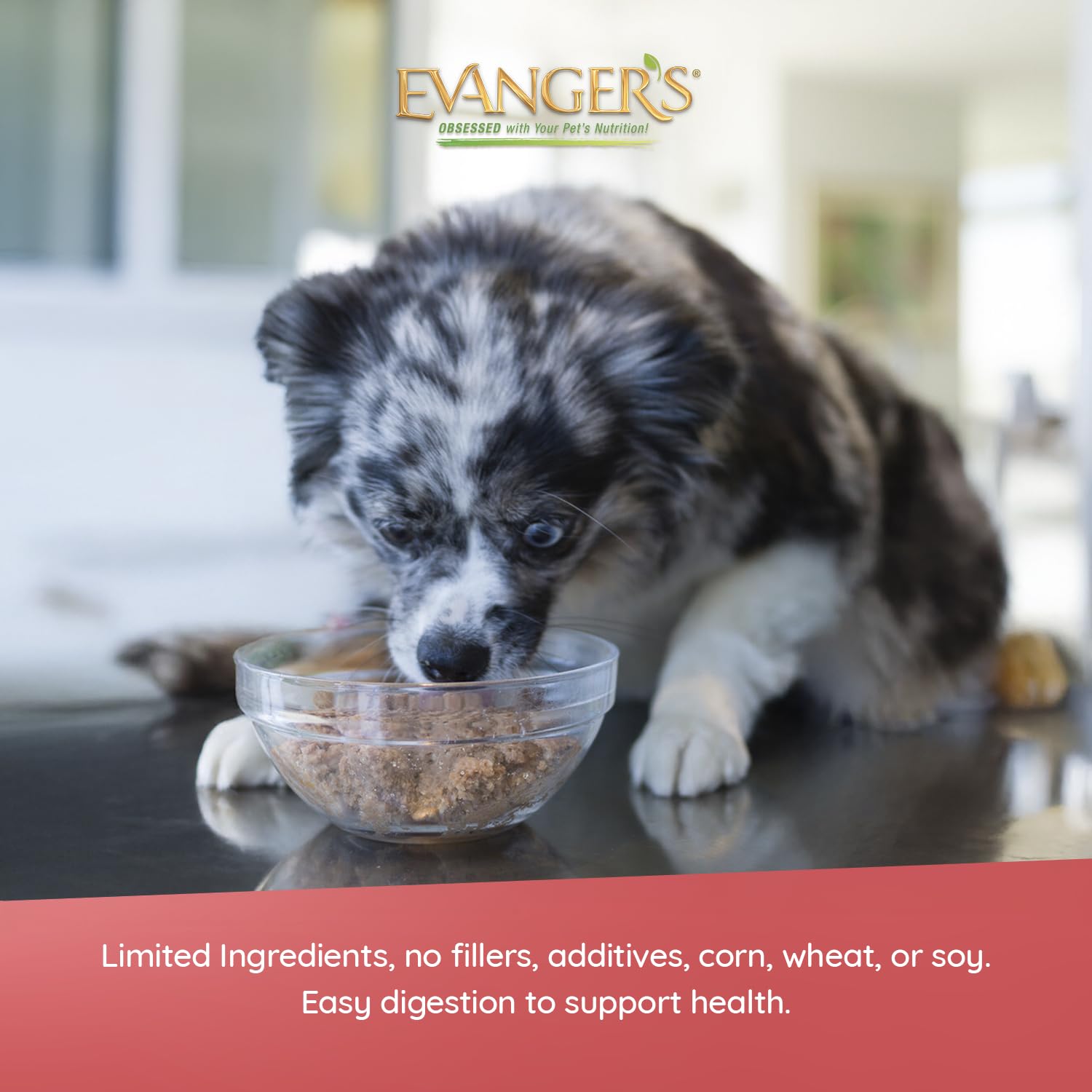 Evangers Heritage Classic Lamb & Rice Dinner - 12 Count, 20.2 oz Each - Wet Dog Food with Lamb and Rice - Gluten-Free Loaf Styl
