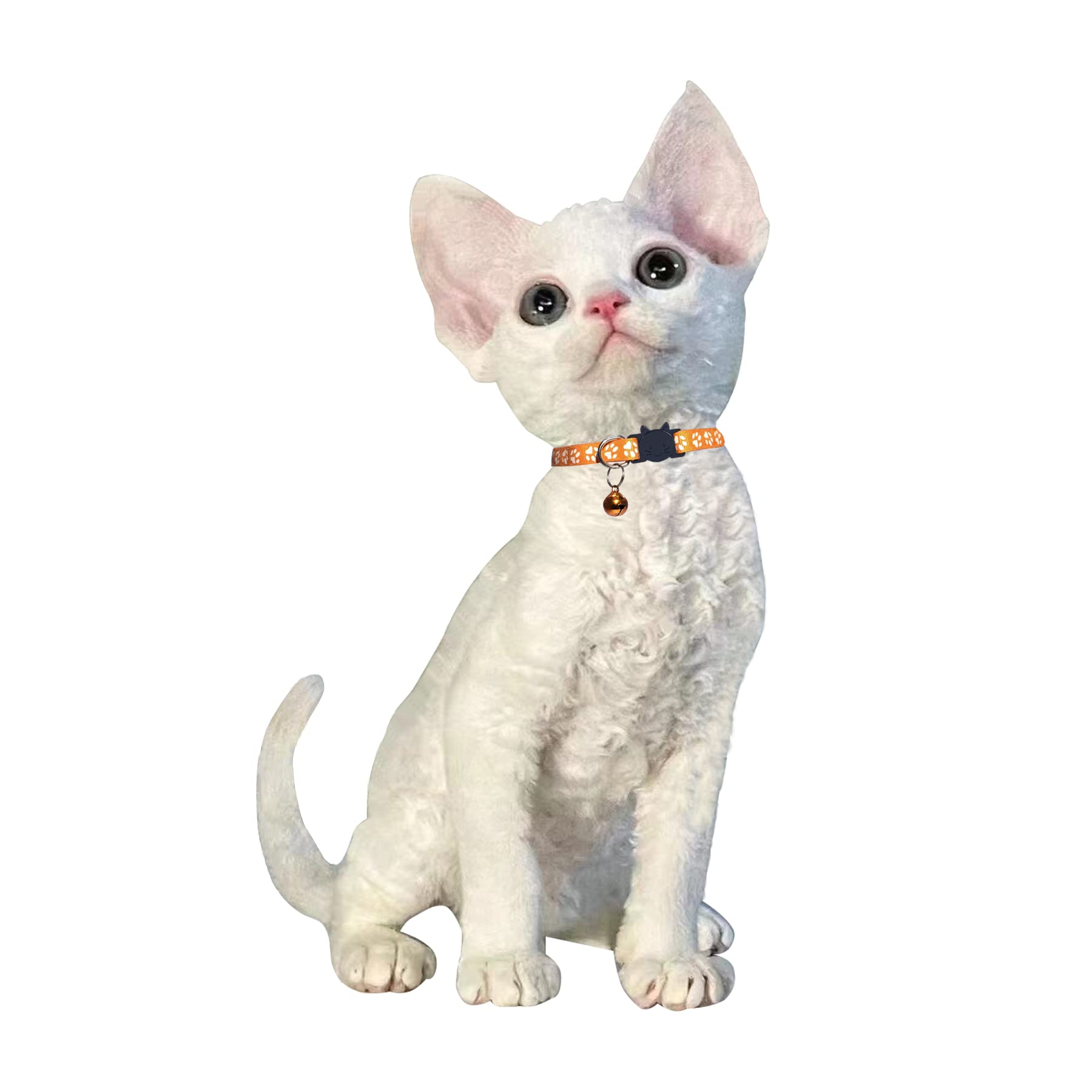D-Buy Cat Collars With Bell, Breakaway Cat Collars, Reflective Cat Collars, Nylon Cat Collars With Bell, Collars For Cats (4 Colors)