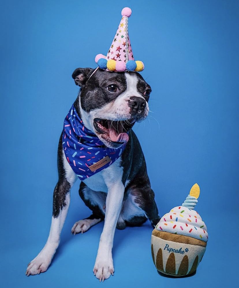 Nestpark Dog Birthday Toy - Pup Cake Puppy Cupcake Plush Squeak And Crinkle Gift