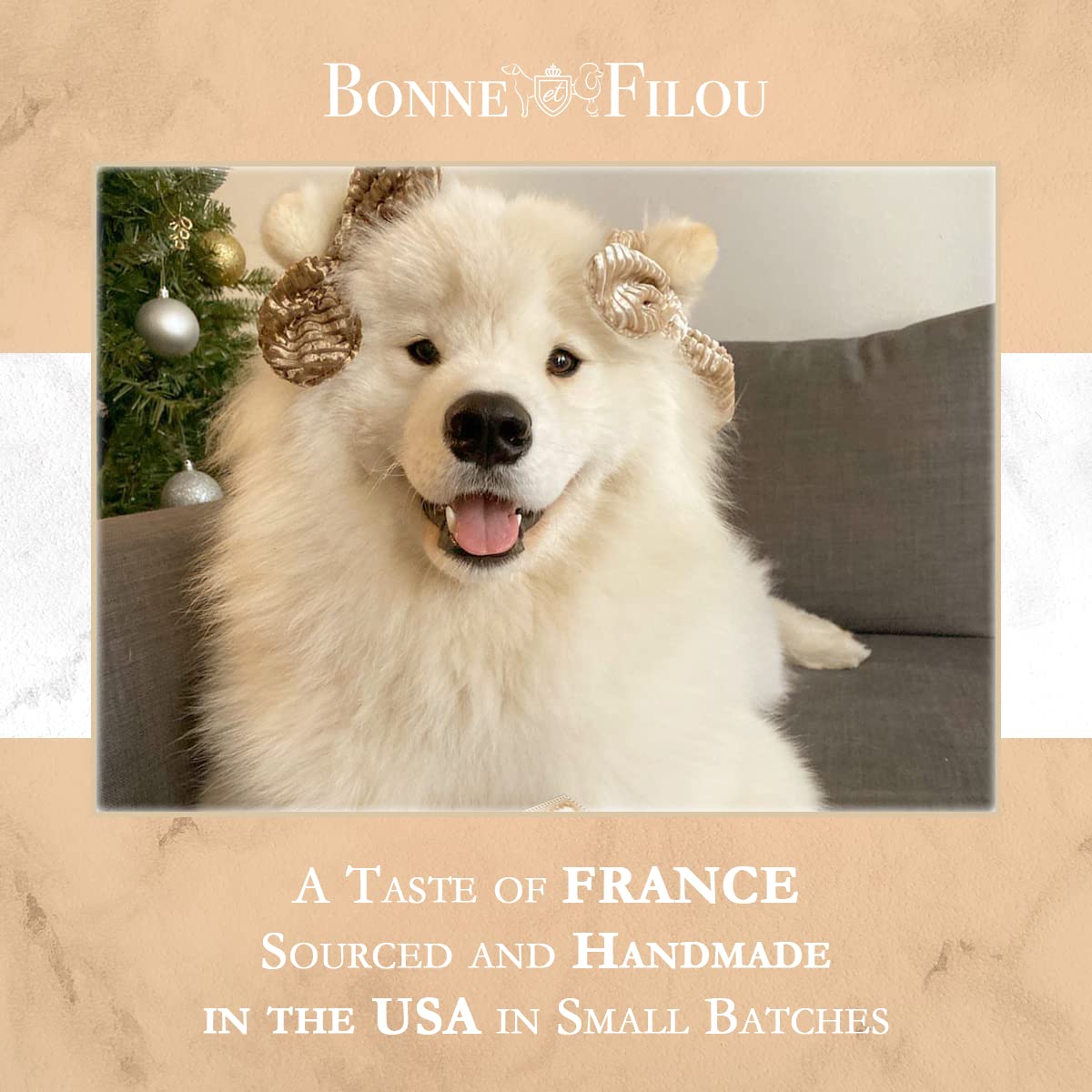 Bonne et Filou Dog Treats Peanut Butter Cupcakes - Gourmet Macaron Cakes, 40 Count Bulk Pack - Healthy & Delicious Human Grade S