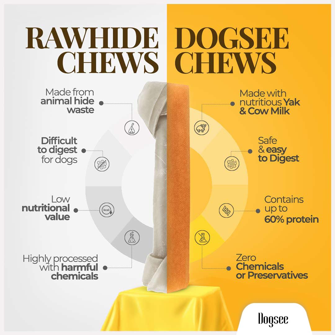 Dogsee Himalayan Yak Cheese with Turmeric 1lb (Small - 13 Pieces) | Rawhide-Free Treats for Small Dogs | Supports Joint Health |