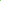Pet and Dog Bandana Screen Printed, &quot;Mardi Gras King&quot; Lime Green Large