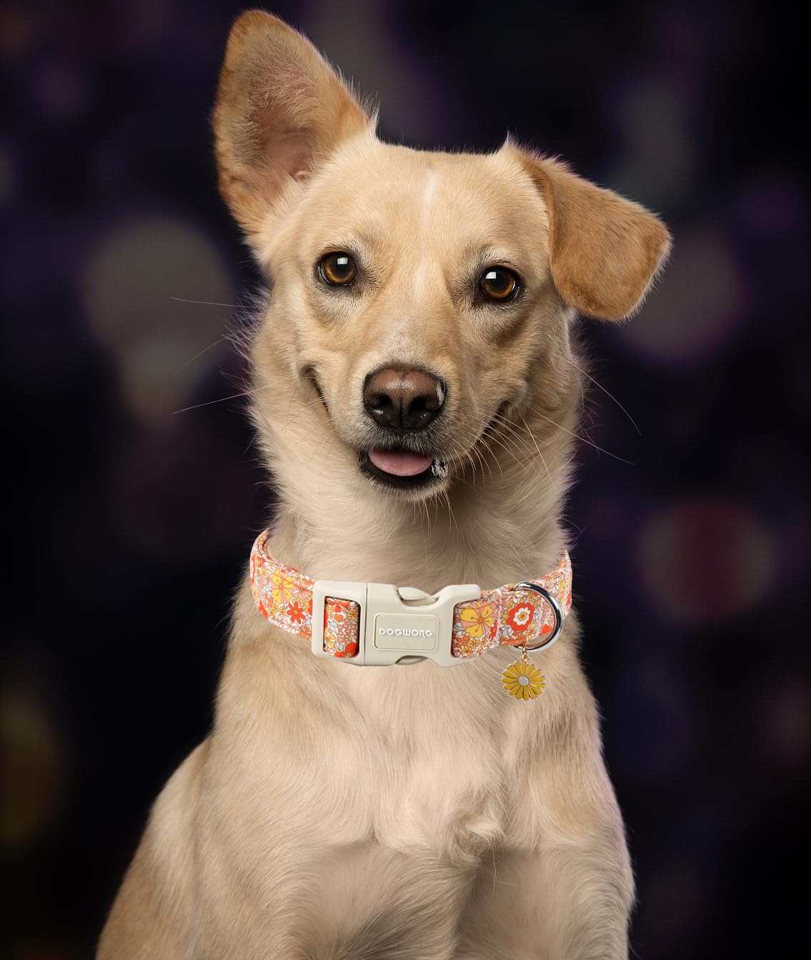 Dogwong Fall Flower Dog Collar- Cute Flower Dog Collars Adjustable Floral Dog Collar For Girl Female Small Medium Large Dogs S