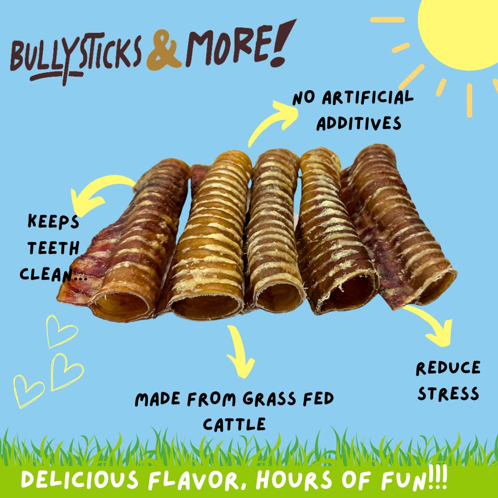 BULLYSTICKS & MORE 6 Inch Beef Trachea (6 Inch - 6 Pack) | Beef Trachea for Dogs | 100% Grass Fed Beef | Dog Parents Choice Beef