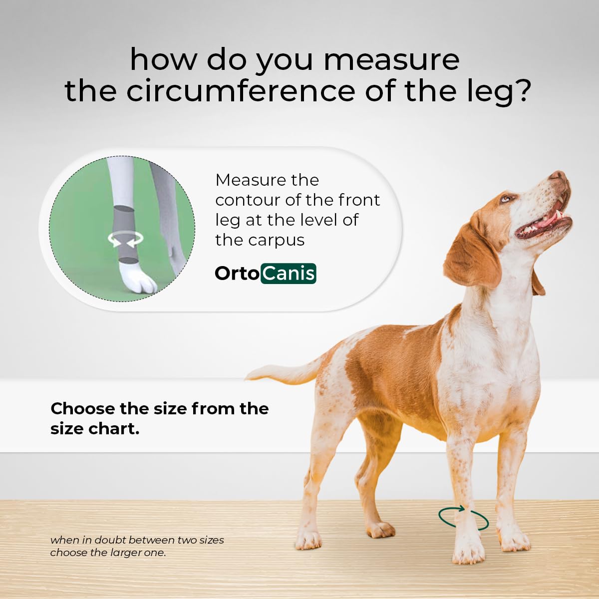 Ortocanis - Carpal Brace for Dogs with Arthrosis, Ligament or Tendon Injuries, or Agility Dogs, Size XXS