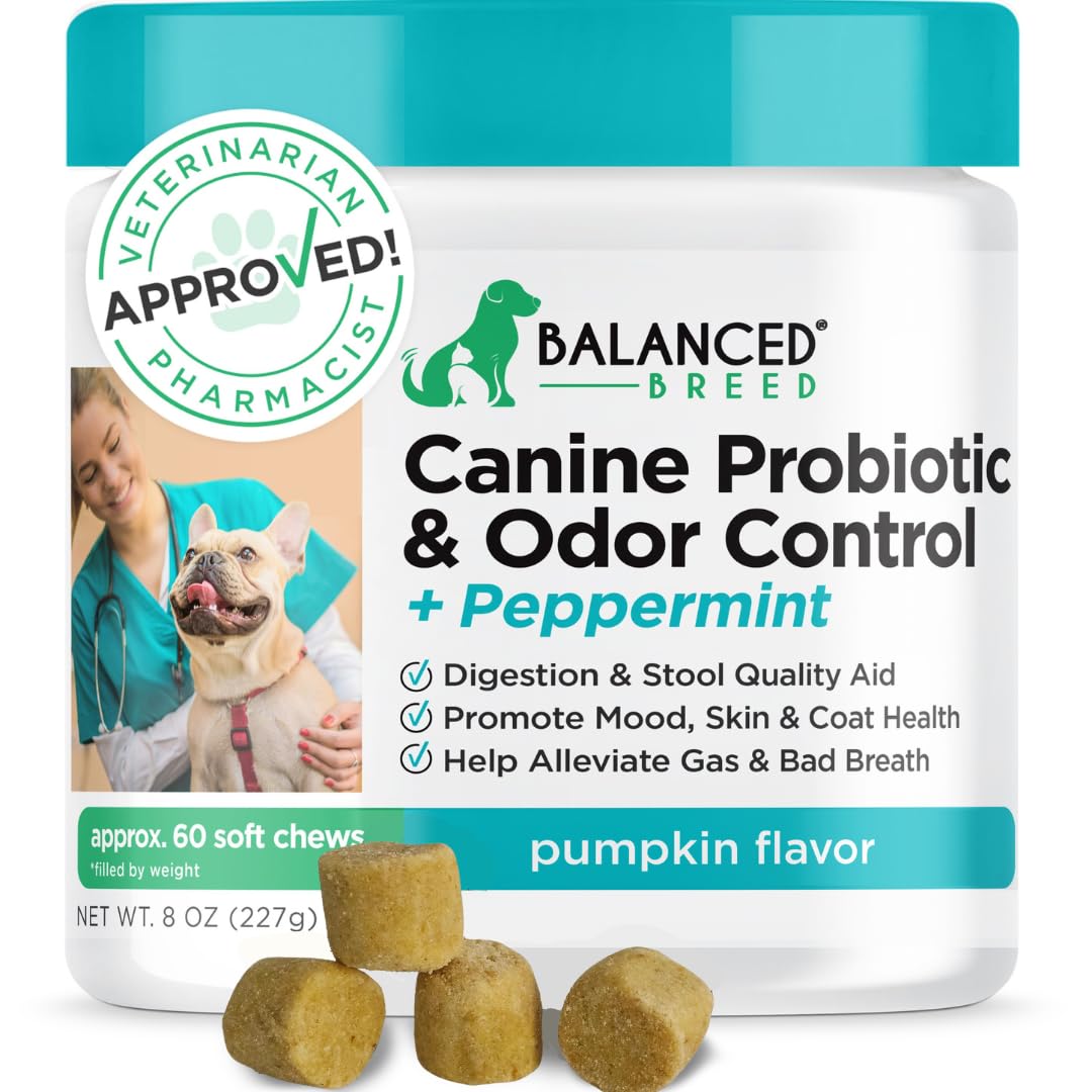 Balanced Breed Dog Probiotics Digestive Health Enzymes Made in USA Vet-Pharmacist Approved Fortiflora Probiotics Dogs Anti Yeast