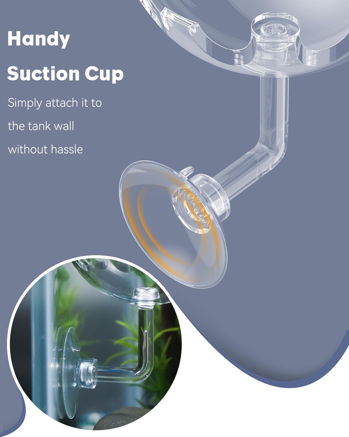 Pawfly Shrimp Feeding Dish With Suction Cup, Clear Acrylic Aquarium Shrimp Feeder, Fish Feeding Tray For Freshwater And Saltwate