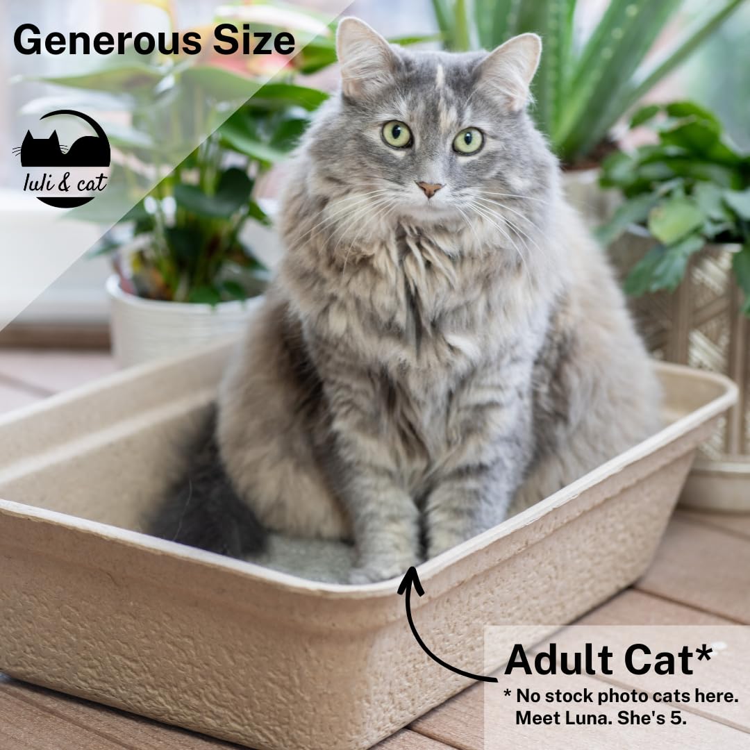 Luli & Cat Disposable Litter Boxes for Cats | Large Sized 4-Pack | Durable and Water Resistant