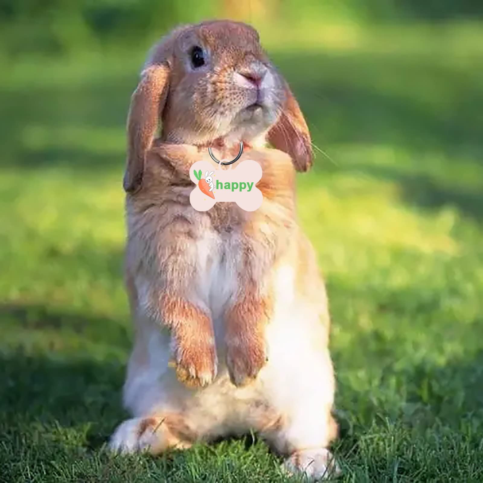 50 Pcs Sublimation Blank Dog Tags Bone Shaped Diy Double Sided Aluminum Dog Id Tags Bone Shaped Pet Name Tags Dog Collar Tags With Dogs And Cats