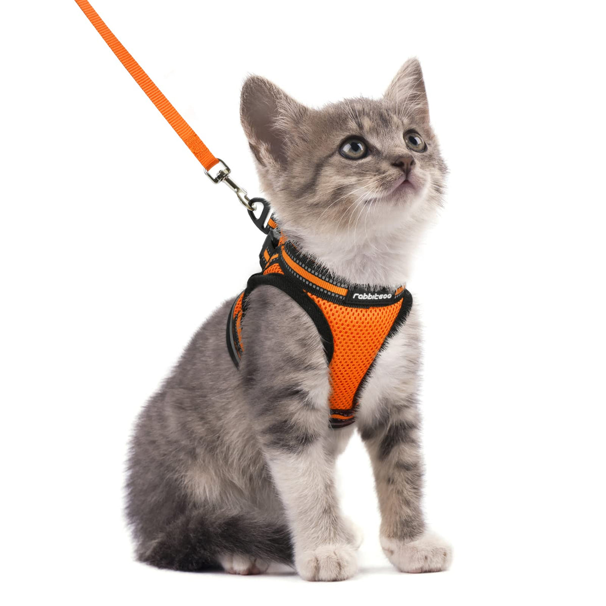 Rabbitgoo Cat Harness And Leash Set For Walking Escape Proof, Adjustable Soft Kittens Vest With Reflective Strip For Cats, Comfortable Outdoor Vest,Light Orange,S