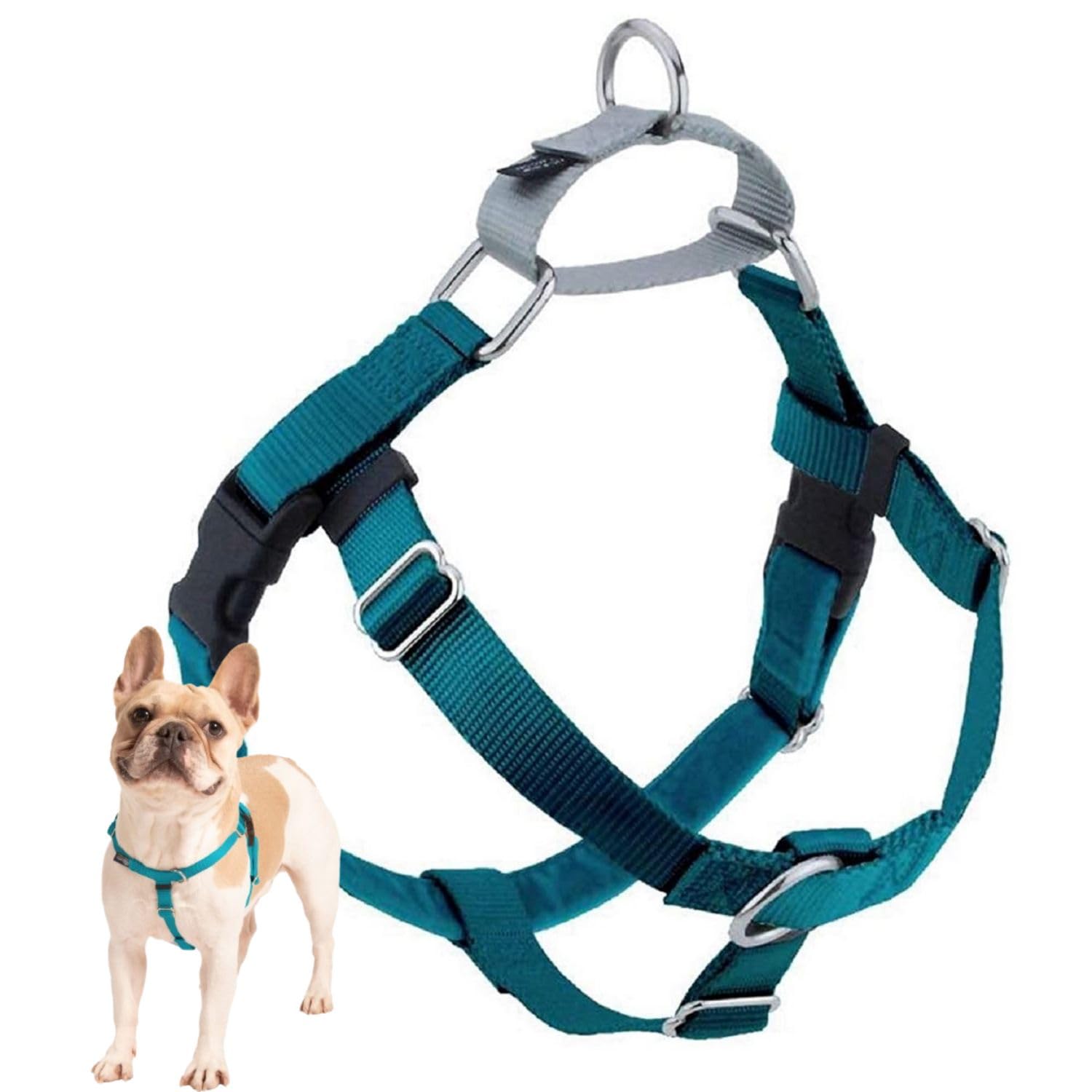 2 Hounds Design Freedom No Pull Dog Harness, Adjustable Harness, Easy Walking & Comfortable Control, Fits Small, Medium & Large Dogs, Solid Colors, Made In Usa, 1' Lg, Teal