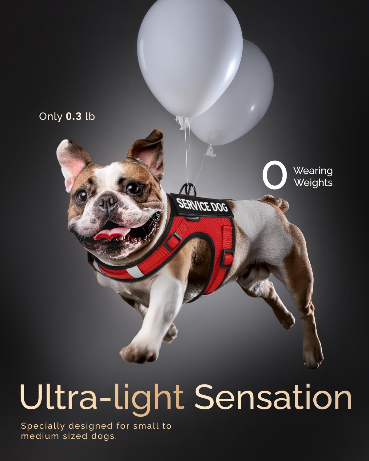 Fayogoo Service Dog Vest For Small Dogs - Air Mesh Breathble Emotional Support Animal Vest With Diy Patches - Puppy Harness And