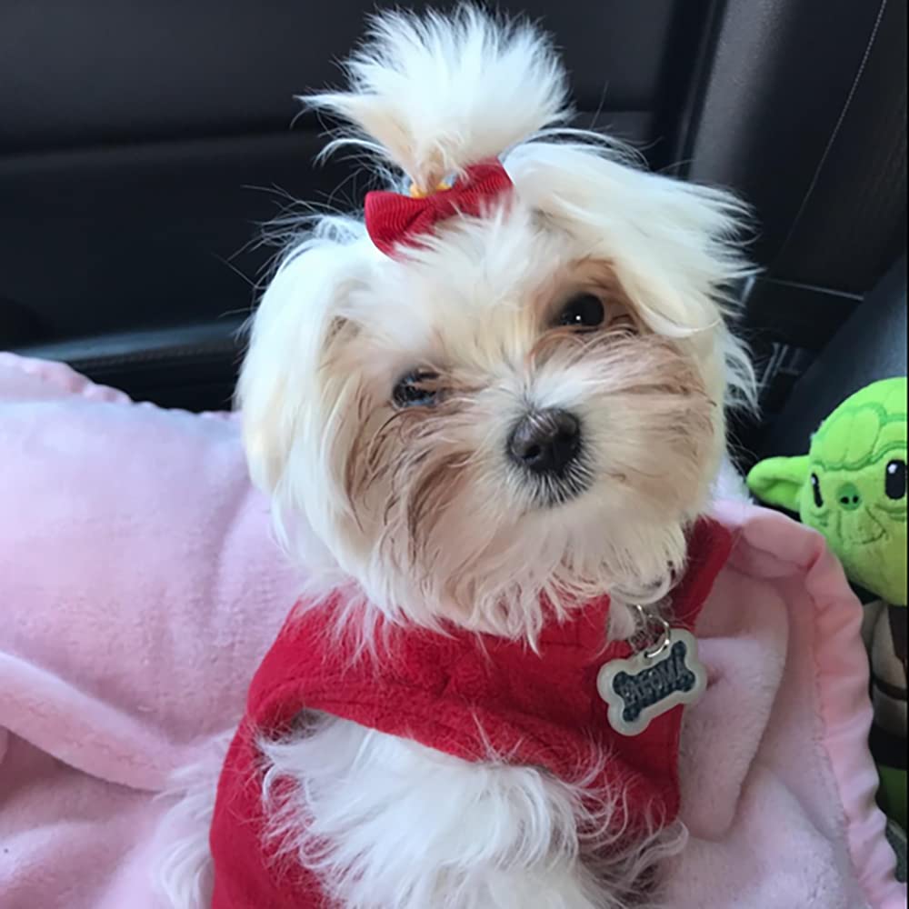 Chenkou Craft New 40Pcs(20Pairs) Puppy Yorkie Dog Hair Bow Pure Ribbon With Rubber Band 40Mm Pet Grooming Products Mix Colors Varies Patterns Pet Hair Bows (Pure Ribbon Rubber Bow)