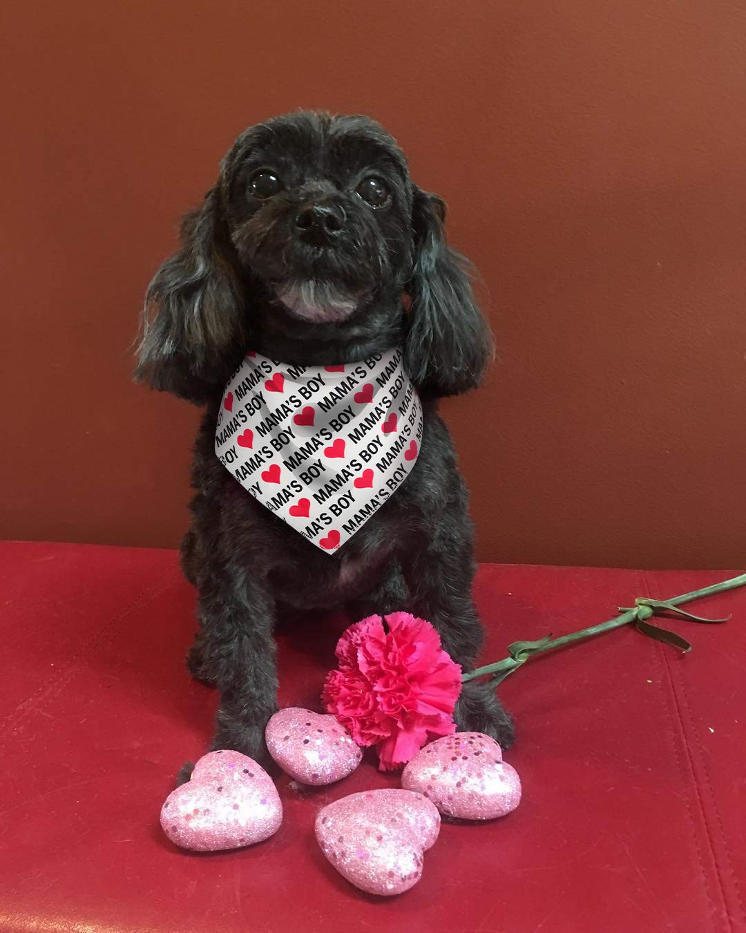Boombone Dog Valentines Day Bandana 2 Pack,Triangle Bibs Pet Scarf For Puppy Cat Small Dogs
