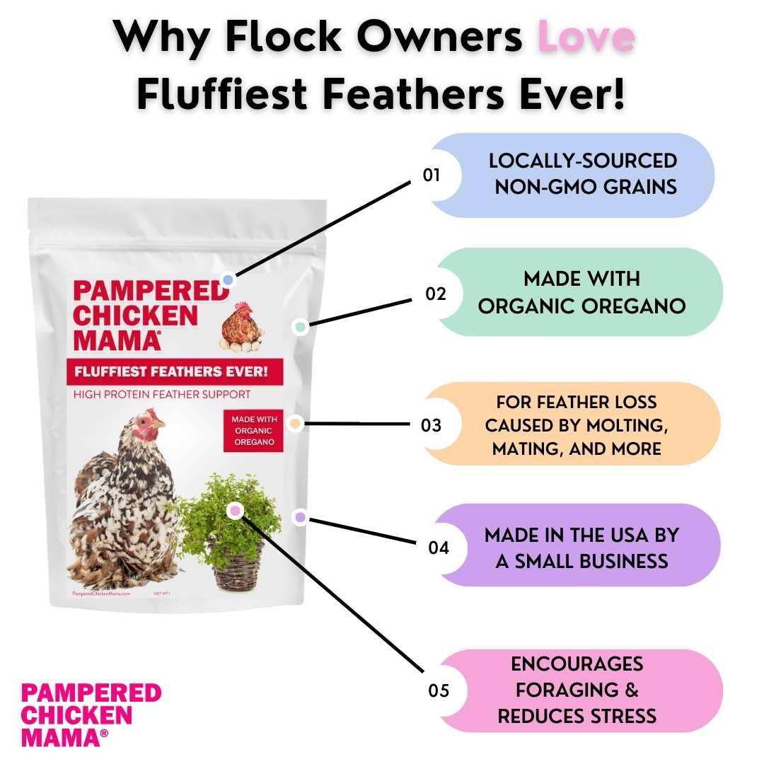 Pampered Chicken Mama Backyard Chicken Supplement Treat: Fluffiest Feathers Ever Backyard Chicken Feed and Supplies for Healthy
