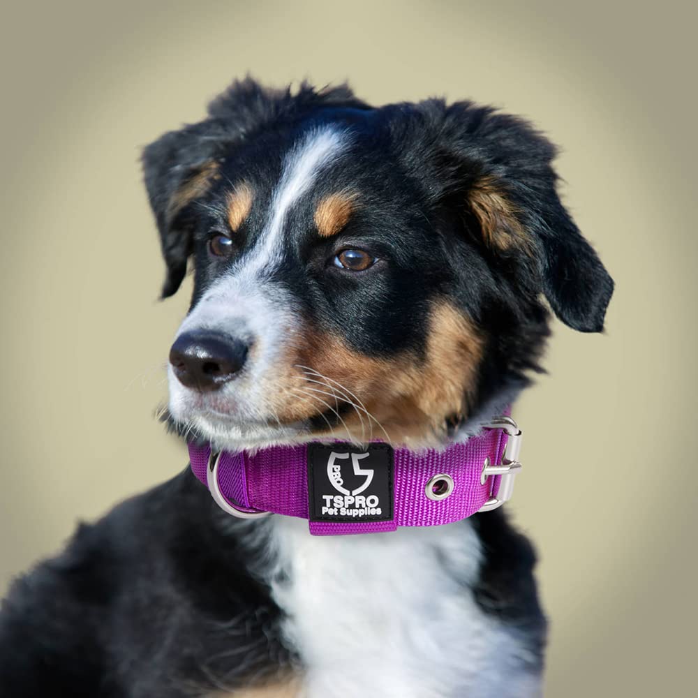 Tspro Tactical Dog Collar Military Grade Strong Dog Collar Thick Dog Collar Heavy Duty Metal Buckle Dog Collar For Small Dogs(Orange-S)