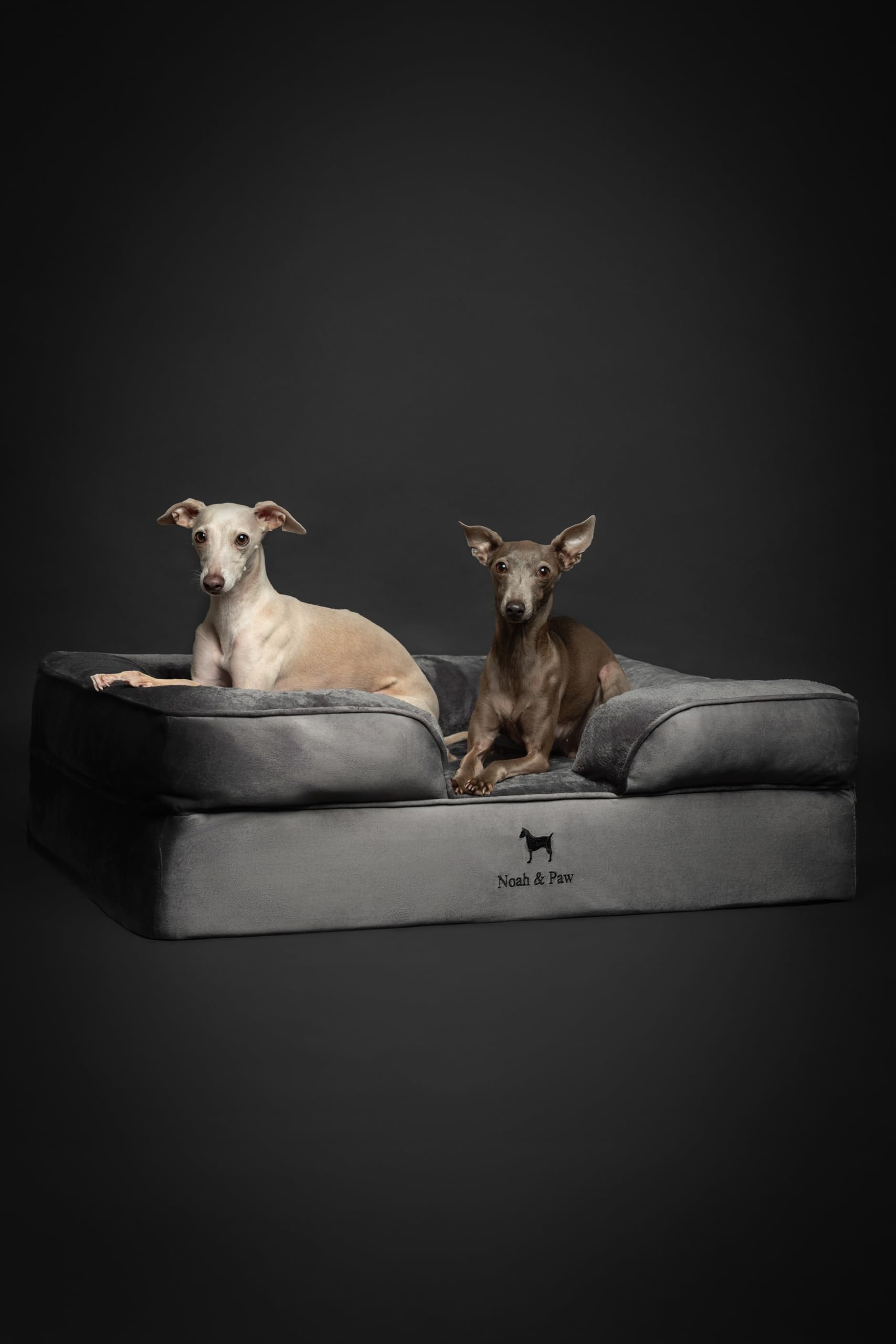 NOAH & PAW Large Dog Bed, 35x25x11 Inch, Orthopedic Dog Beds, Eggshell Memory Foam Infused with Cooling Gel, Inner Cover, Waterp