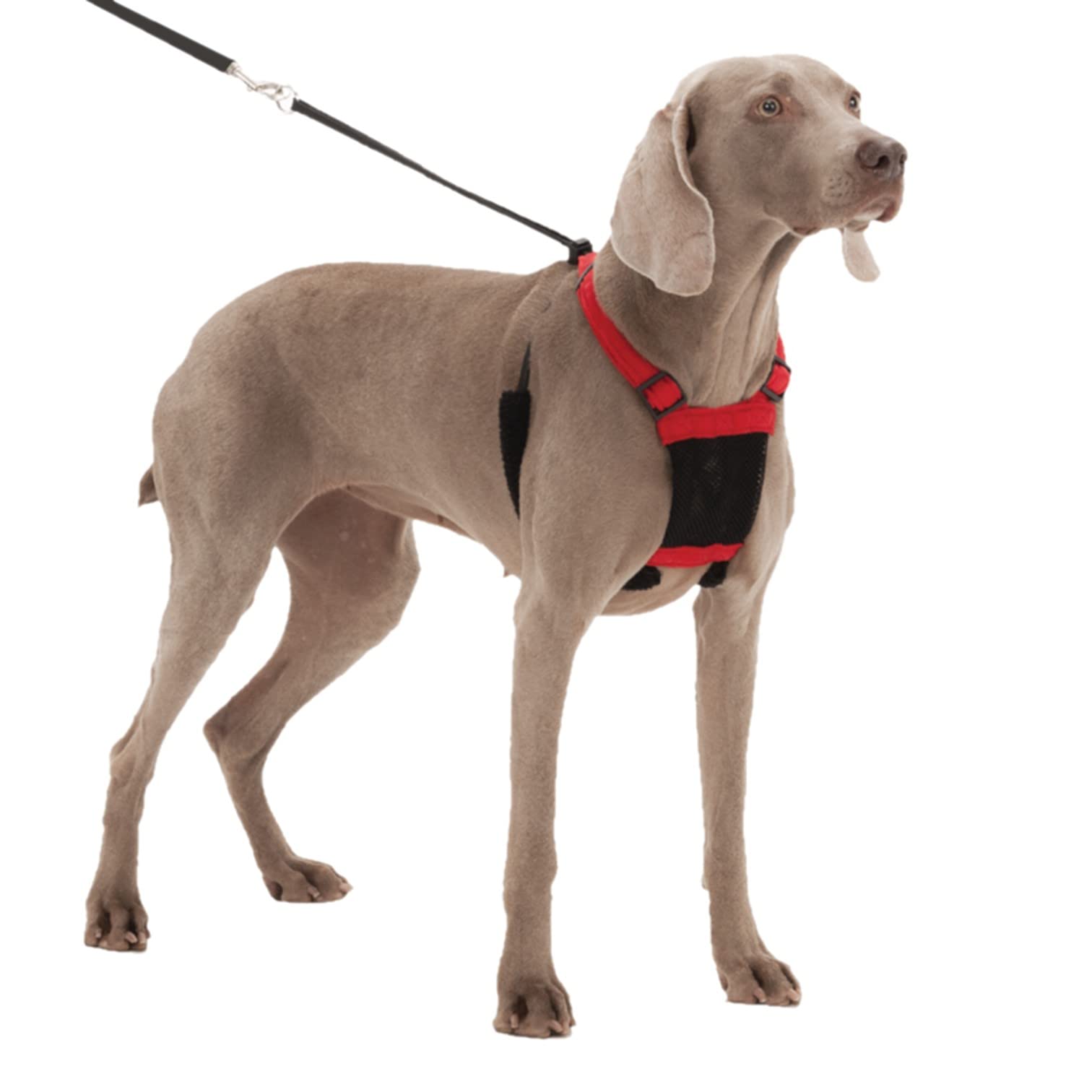 Sporn Non- Pull Mesh Harness, Black, Extra Large