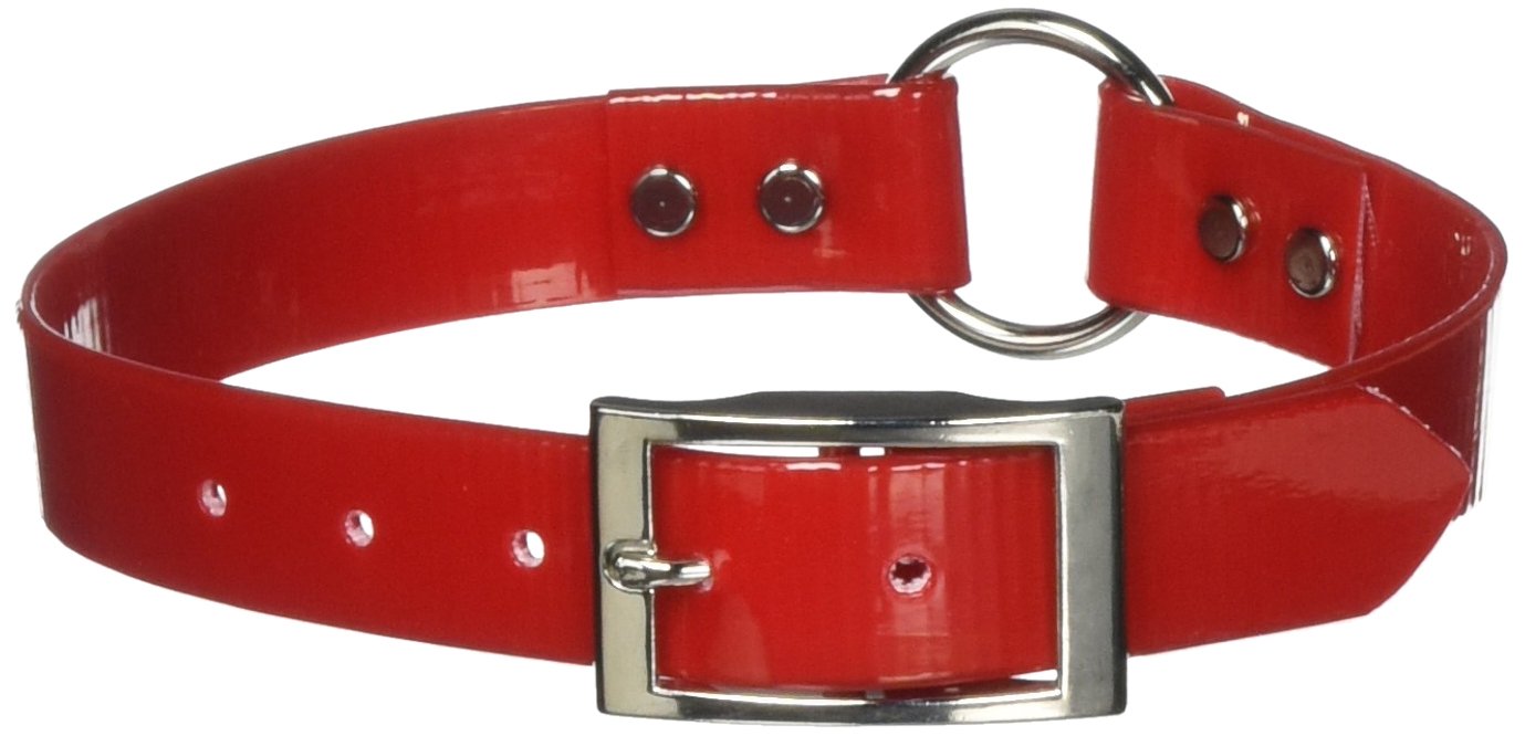 Omnipet Sunglo Ring-In-Center Dog Collar, 1' Wide, Red, Fits 16'- 19.5' Neck Sizes, Vibrant Colors & Tough Construction For A
