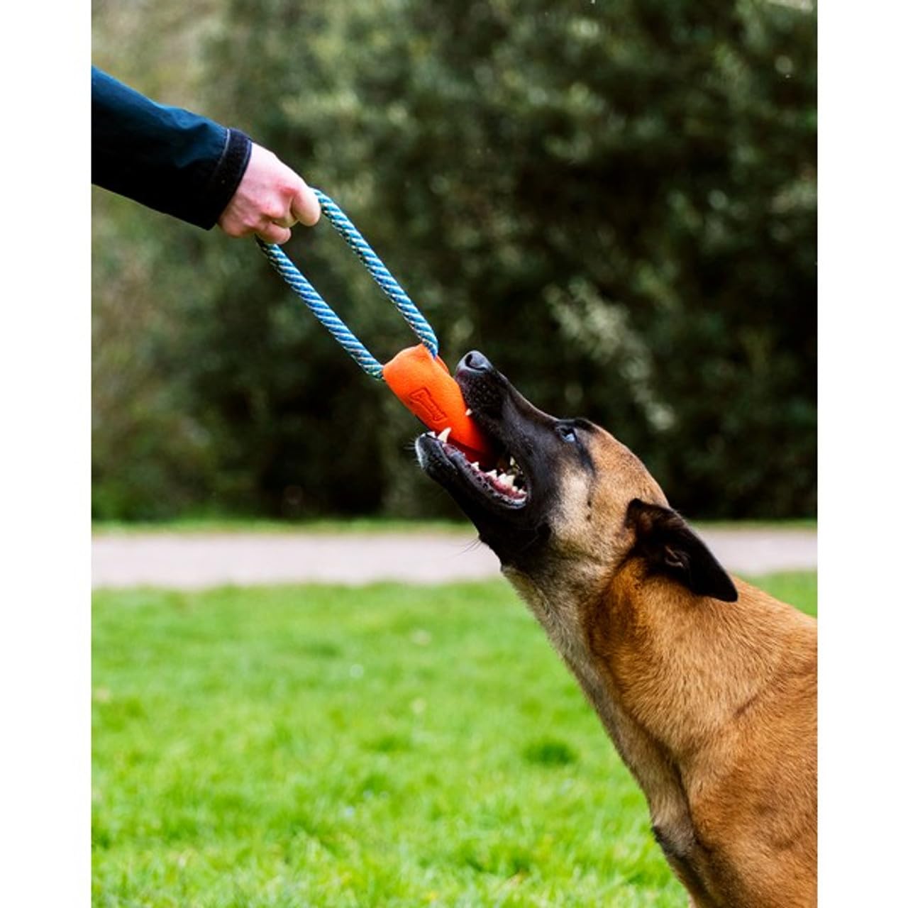 Chuckit! Ultra Bumper Tug Dog Toy,Orange,Medium
