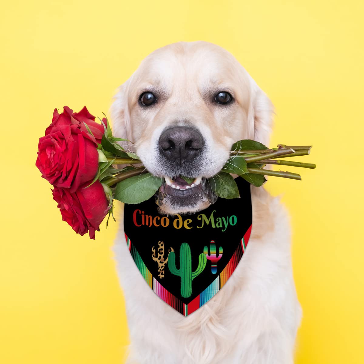 Cinco De Mayo Dog Bandana Cactus Mexican Fiesta Dog Scarf Adjustable Accessories For Small Medium Dogs Cats Pets
