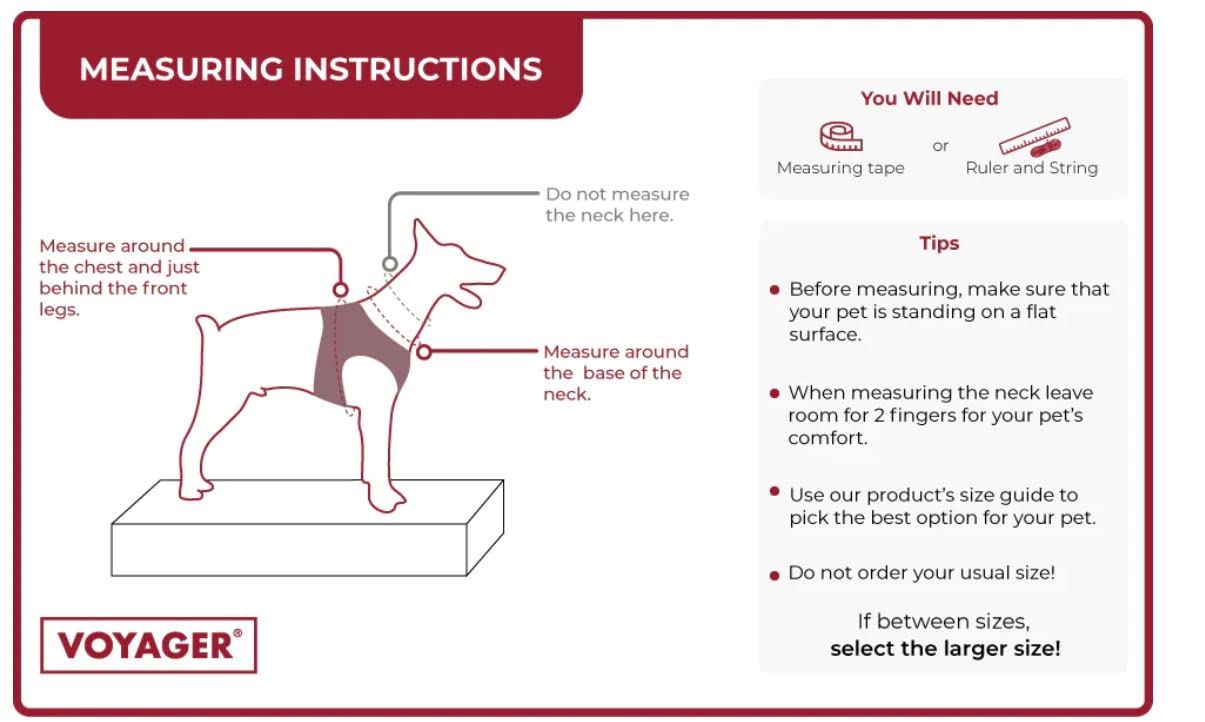 Voyager Step-In Air Dog Harness - All Weather Mesh Step In Vest Harness For Small And Medium Dogs And Cats By Best Pet Supplies - Harness (Turquoise), S (Chest: 14.5-16')