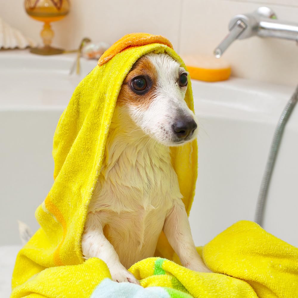 Vet's Best Oatmeal Shampoo for Dogs - Soothes Dry Skin, Cleans & Conditions - 16 Ounces - Blue & Purple