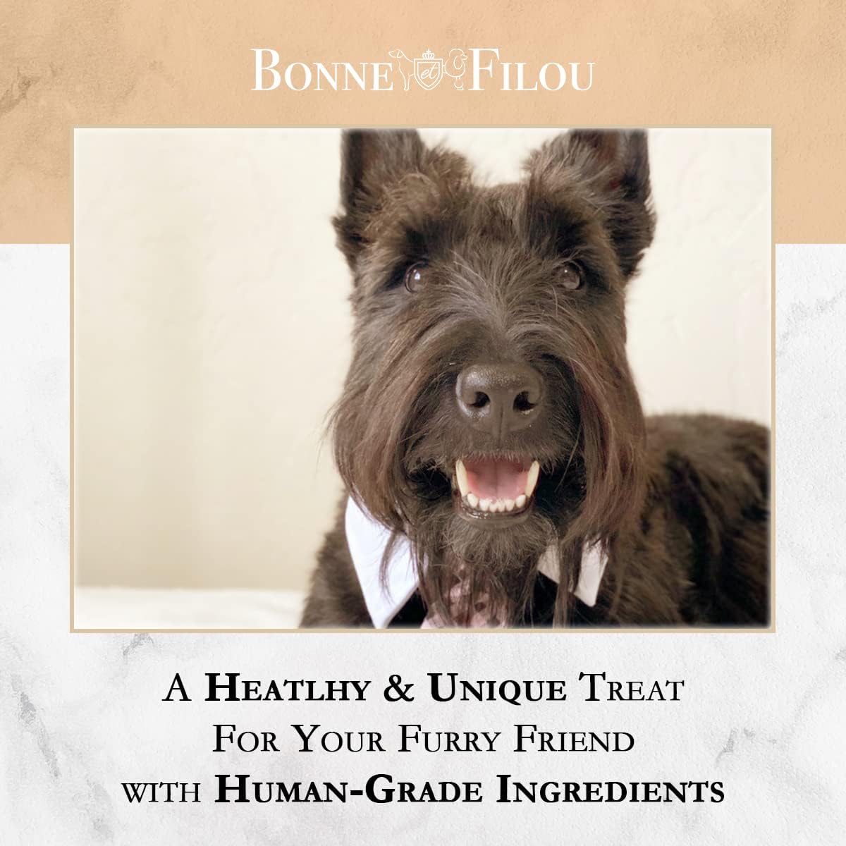 Dog Macarons - count of 6 (Dog Treats  Dog gifts)(D0102HIRL6A)