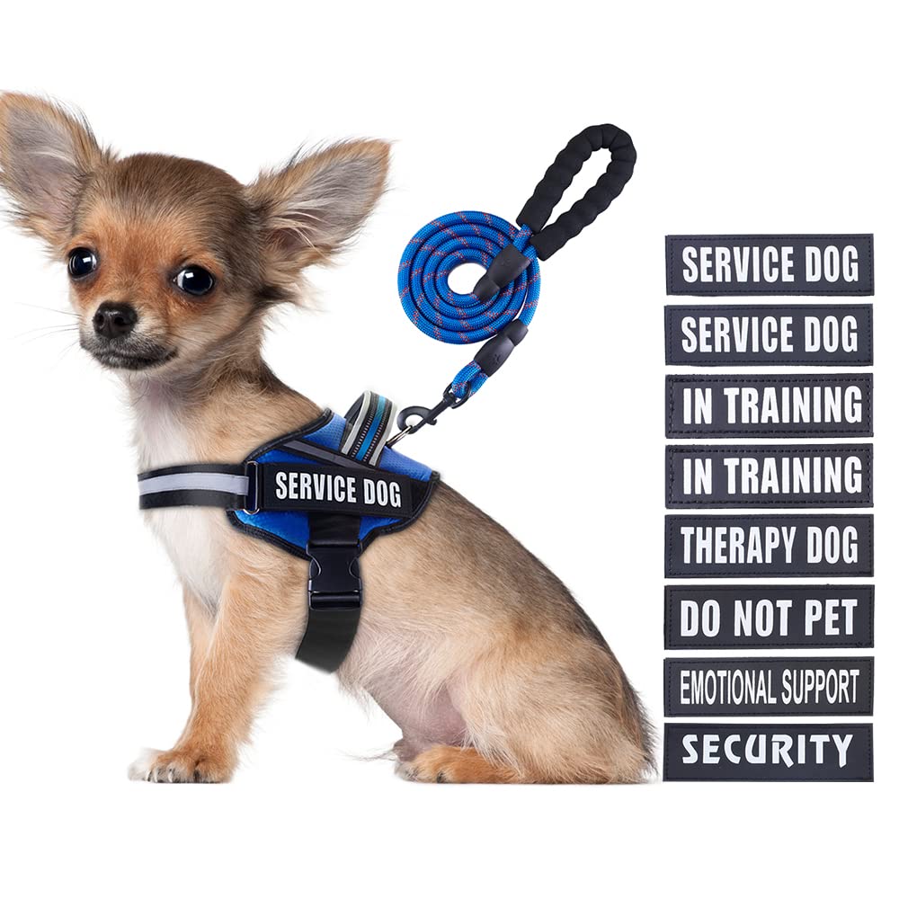 Service Dog Vest Harness And Leash Set, Animire In Training Dog Harness With 8 Dog Patches, Reflective Dog Leash With Soft Padded Handle For Small, Medium, Large, And Extra-Large Dogs (Blue,S)