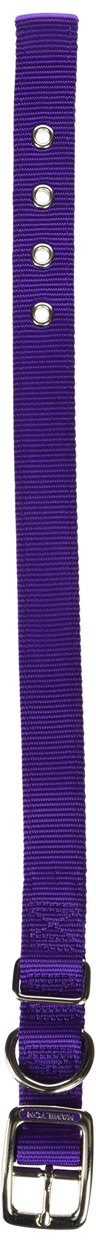 Hamilton Double Thick Nylon Deluxe Dog Collar, 1-Inch by 20-Inch, Purple