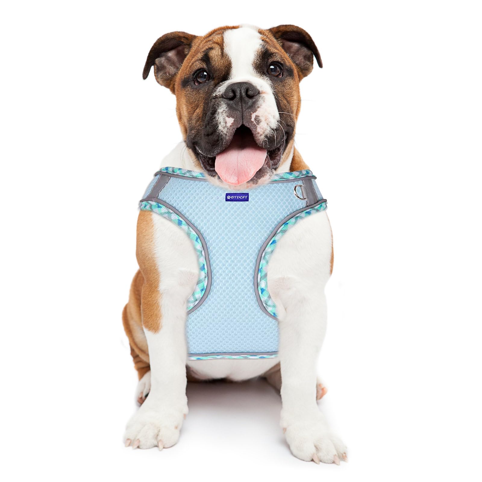 Btdcfy Step In Mesh Dog Harness And Leash Set - Breathable Air Mesh Reflective Escape Proof Vest, No Choke, Lightweight, Blue