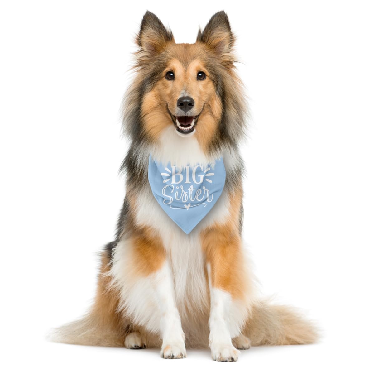 Big Sister Light Blue Dog Bandana For Large Dogs: Triangle Scarf - Baby Announcement, Dog Scarf Accessories (L)