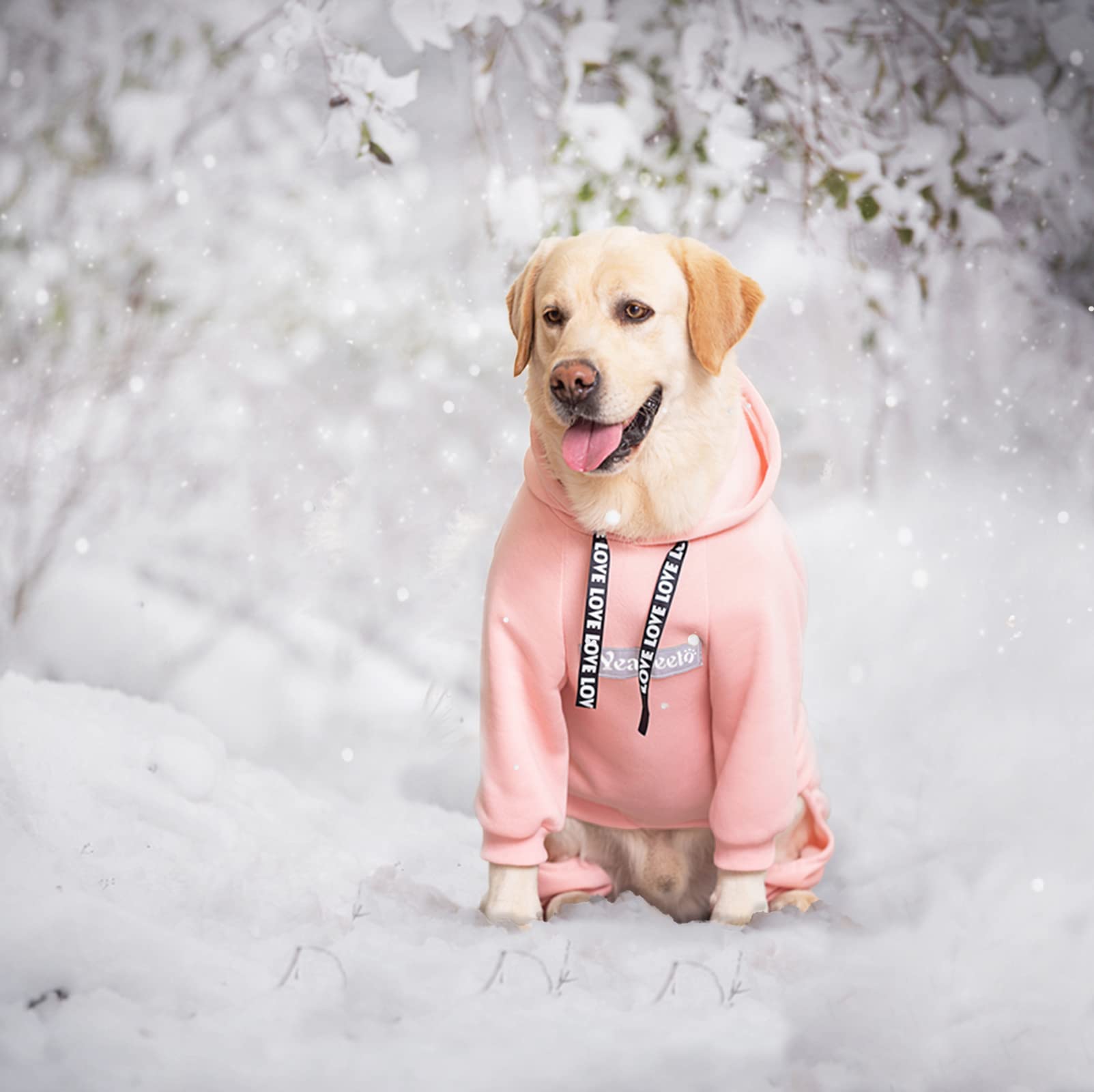 Pullover Dog Sweatshirt, Winter Warm Coat, Hooded Fleece For Large Dogs (Pink, X-Large)