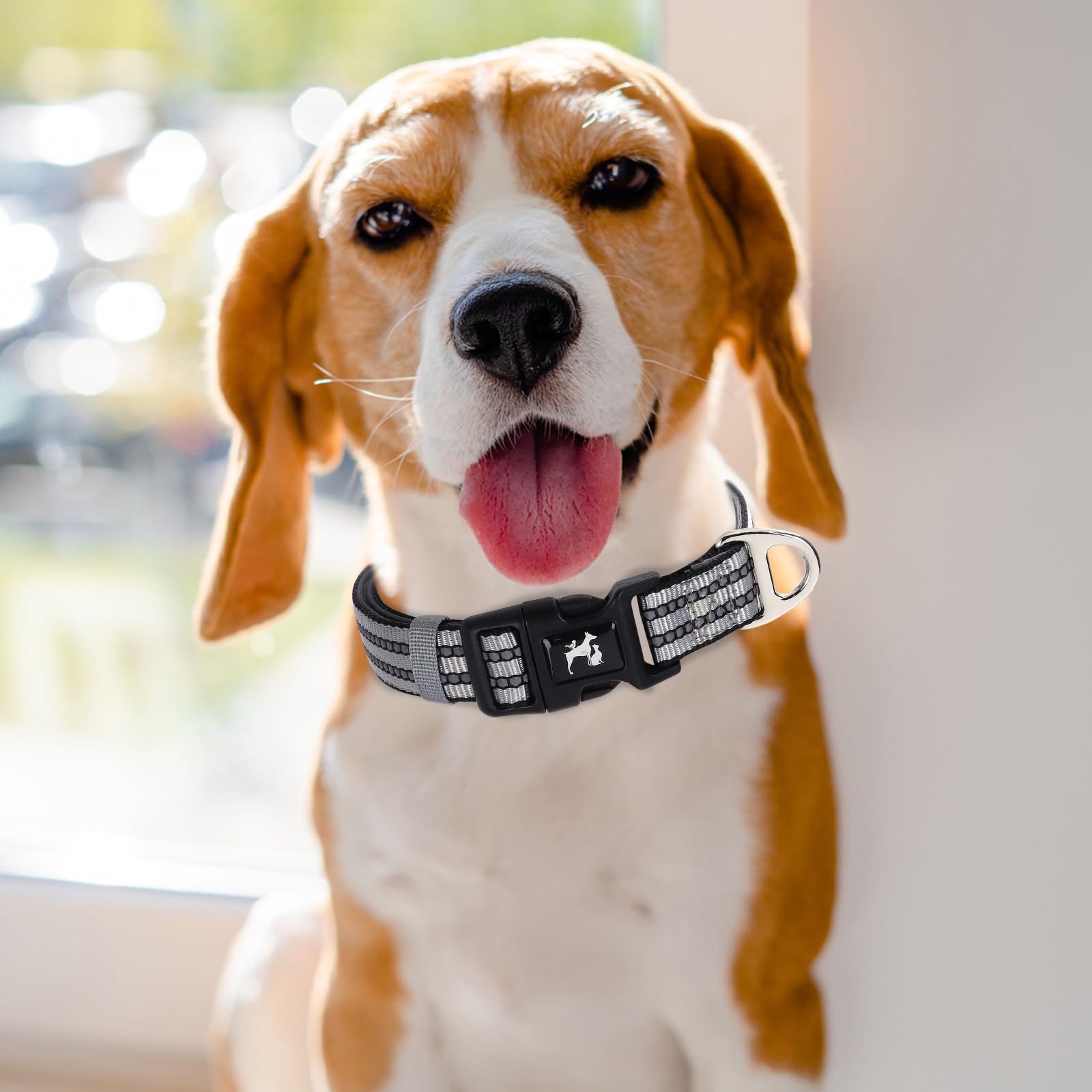 Maowuwujoz Reflective Dog Collar With Soft Neoprene Padded, Adjustable Breathable Nylon Pet Collar For Large Dogs (Silver L)