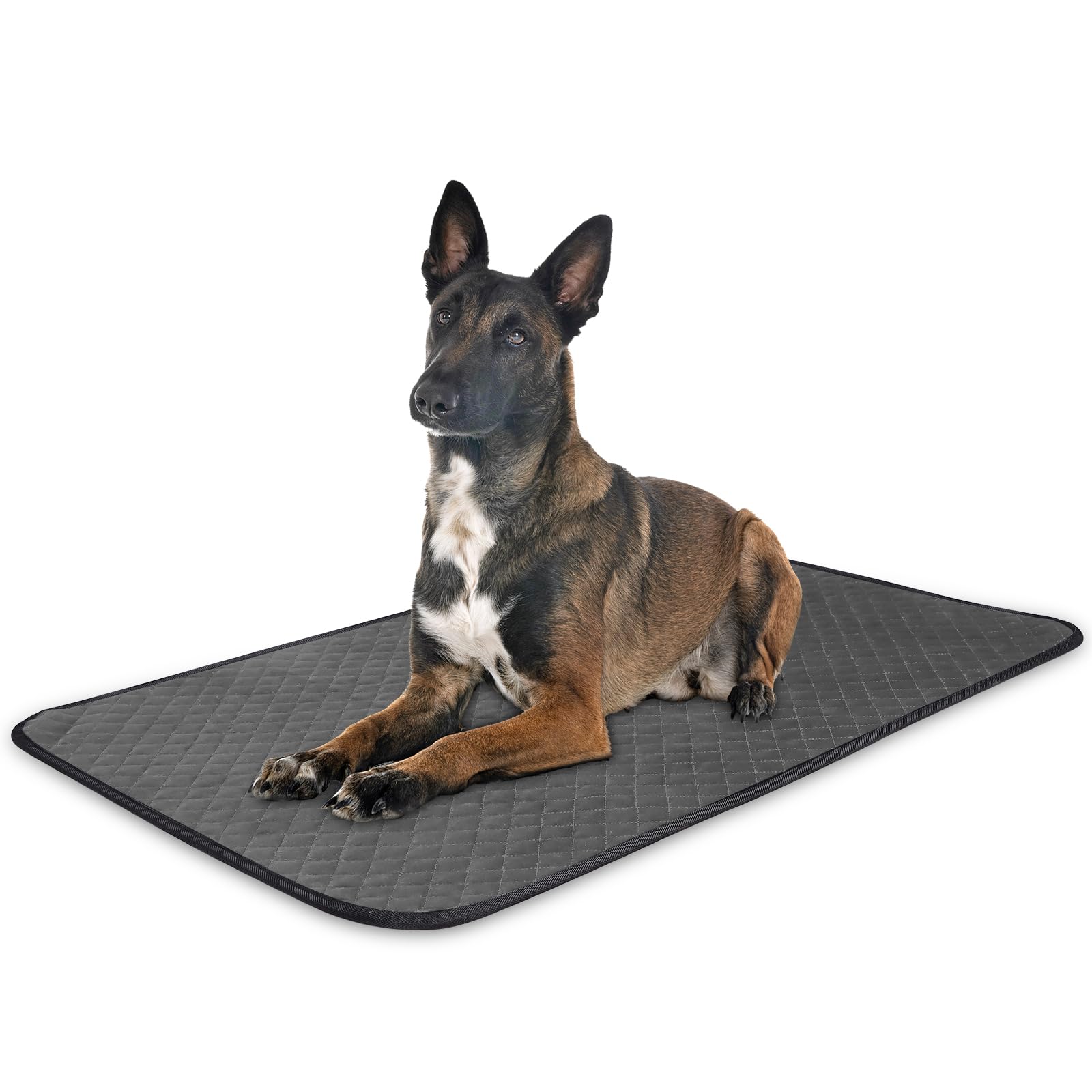 Aulase Chew Proof Dog Crate Bed Pad, Enhanced Quilted Indestructible Dog Kennel Pad For Aggressive Chewers, Washable Dogs Mat Fo