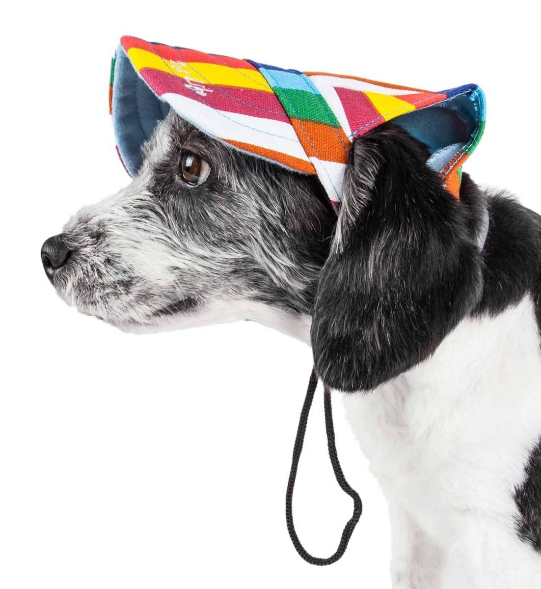 Colorfur Floral Uv Protectant Adjustable Fashion Dog Hat - Rainbow, Large
