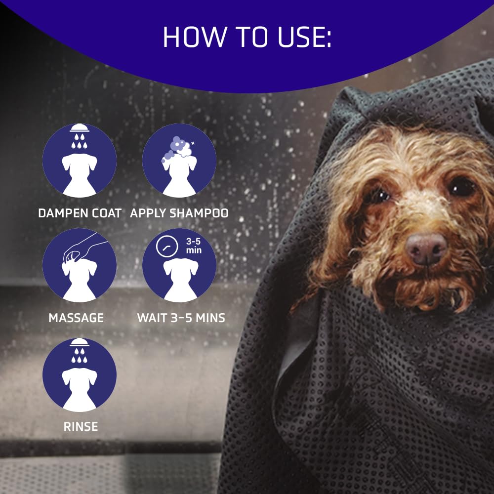 Artero Blanc. Whitening Shampoo For White Dogs And Black Dogs