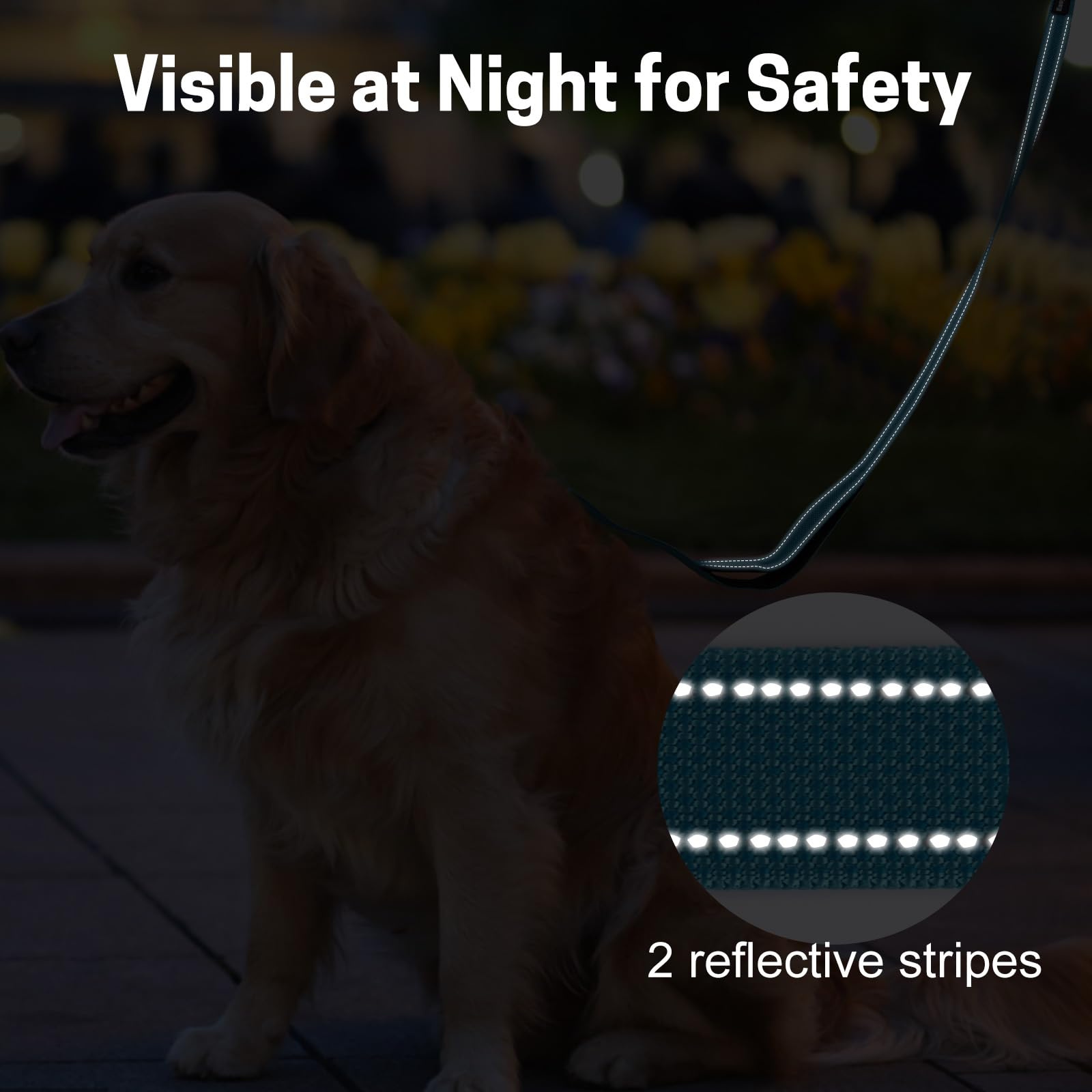 Easyease Dog Leash With 2 Comfortable Soft Padded Handles Reflective Heavy Duty Pet Dog Walking Leashes 6Ft Blue Durable Dog Tra