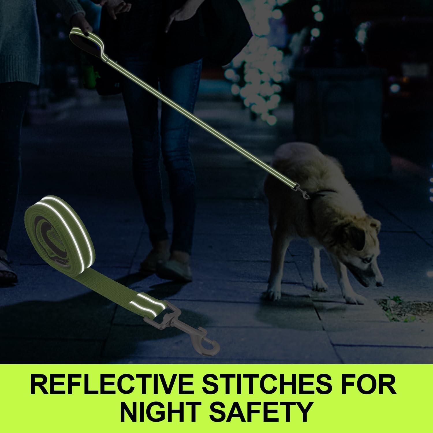 Usunyvora Reflective Nylon Dog Leash For Walking,Strong Dog Leash With Padded Handle For Small And Medium Dogs,4 Ft,Green
