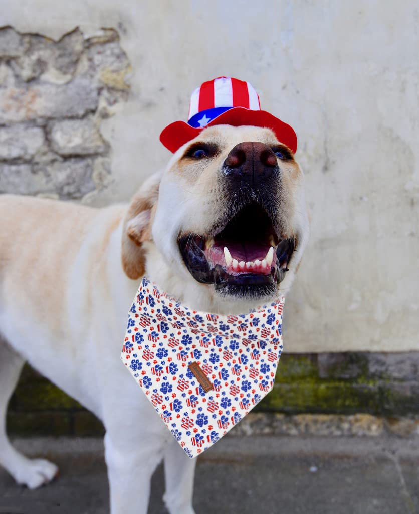 Lionheart Glory American Dog Bandana 1 Pack Washable Soft Dog Scarf, Square Adjustable Dog Bandanas For Medium Large Dogs