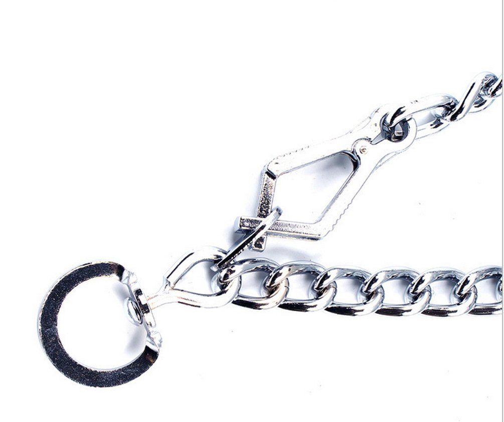Sgoda Dog Prong Training Choker Collar With Quick Release, 24 In, 4 Mm