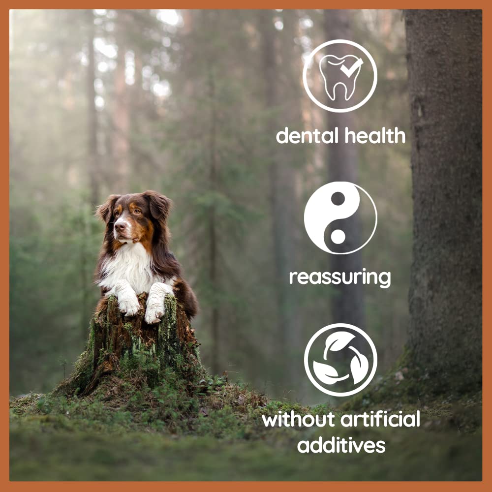 Wildfang Olive Wood - Chewing Stick For Dogs, 100% Natural Dog Toy, Dental Care & Training