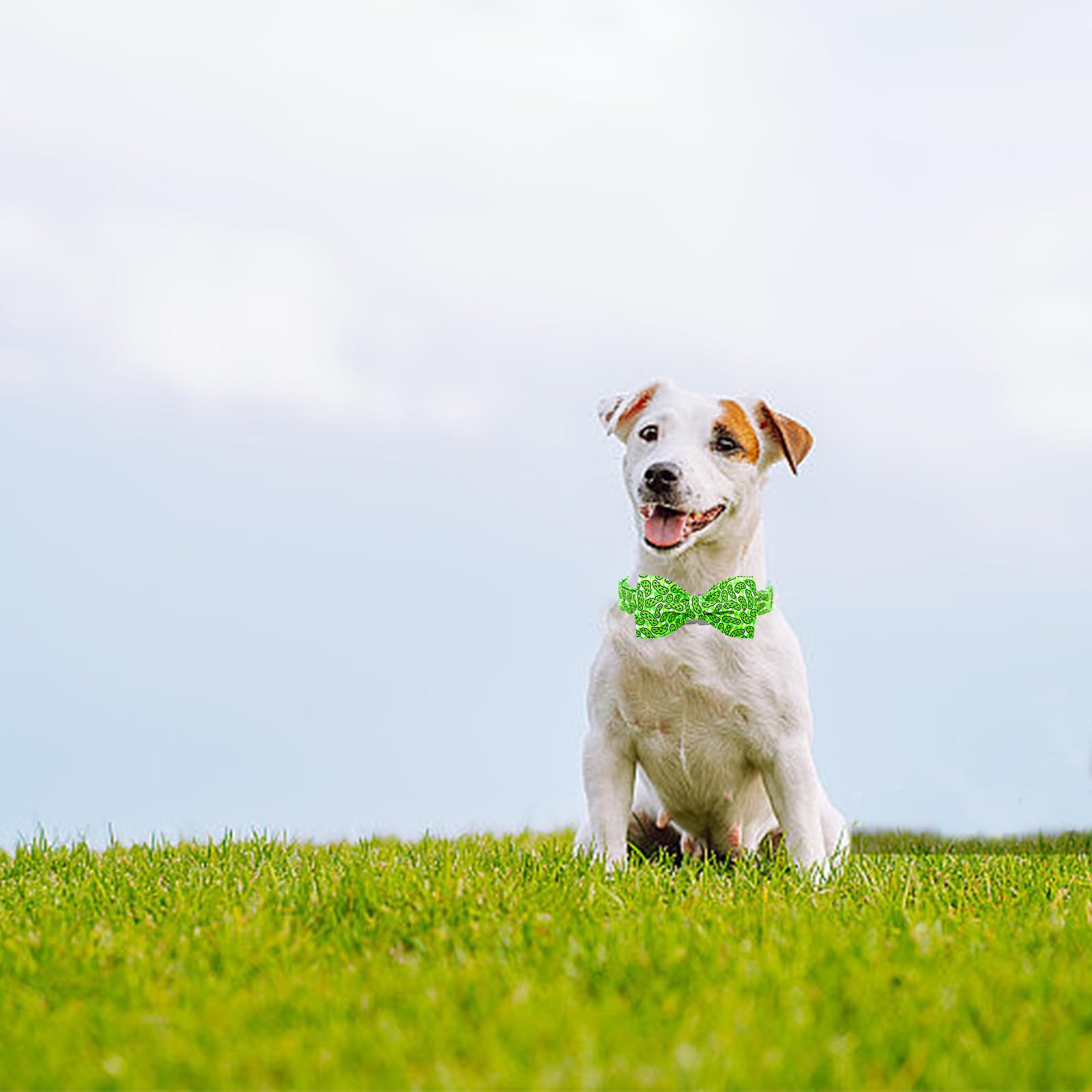 Lionheart glory Dog Bow Collar Cucumbers Print Dog Collar for Small Dogs, Adjustable Green Collars Spring Dog Collar with Bowtie
