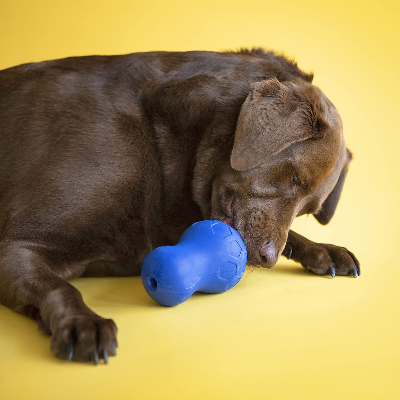 JW Tumble Teez Puzzler Treat Dispenser, Large