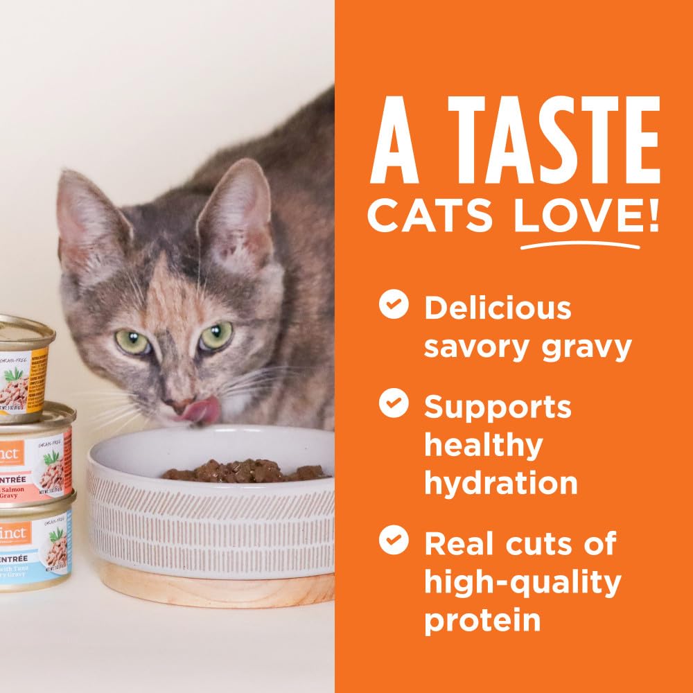 Instinct Flaked Rabbit Entr  e Wet Cat Food 3 oz. Can