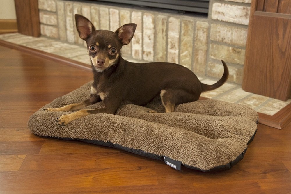 Sportpet Designs Waterproof Pet Bed - Fits Sportpet Plastic Dog Kennel, 20 Inches,Brown