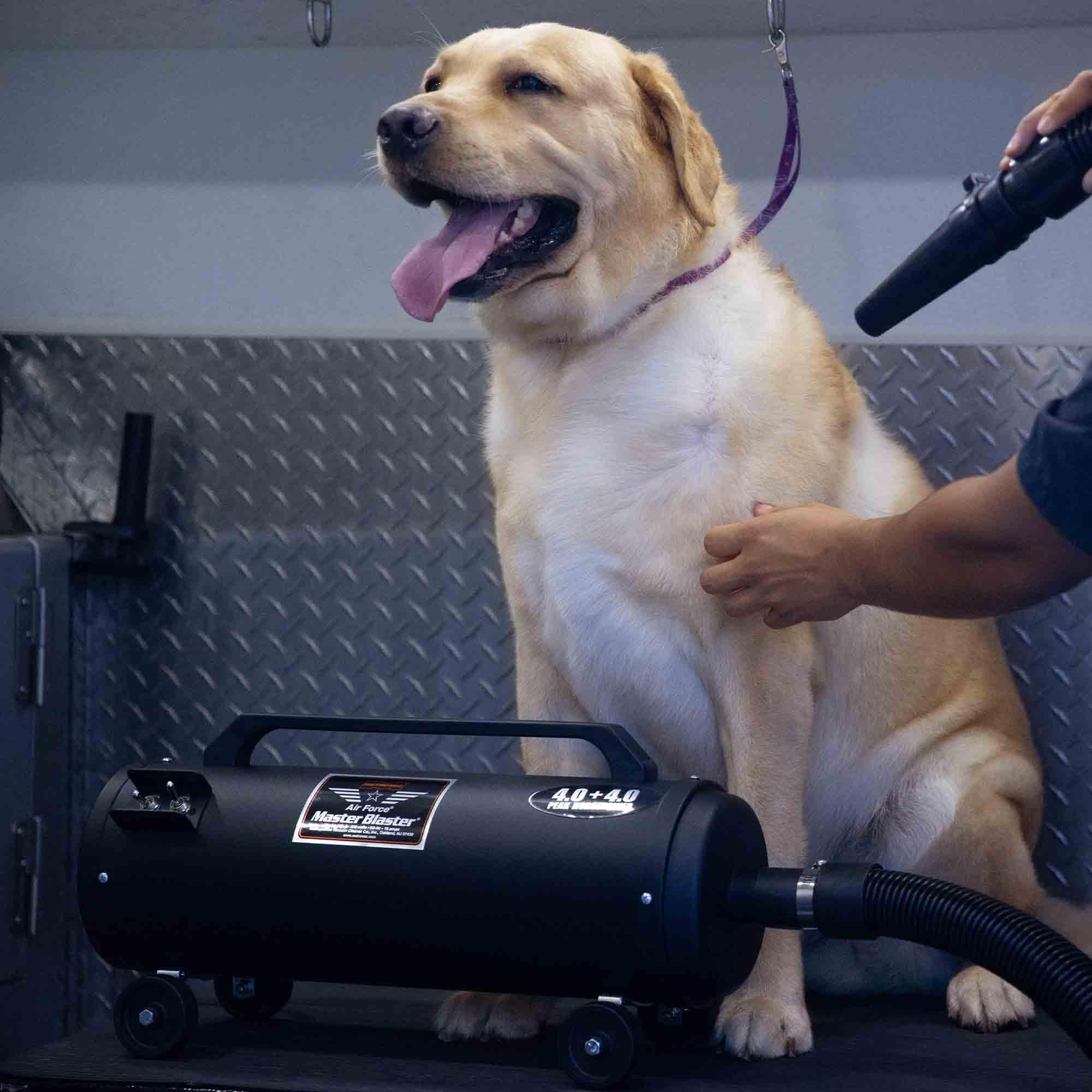 Metrovac Mb-3 Air Force Blaster Pet Dryer, Professional Blower, Efficient Cleaner, 4.0 Peak Hp Twin Fan Motors 120V, 10 Ft Comme