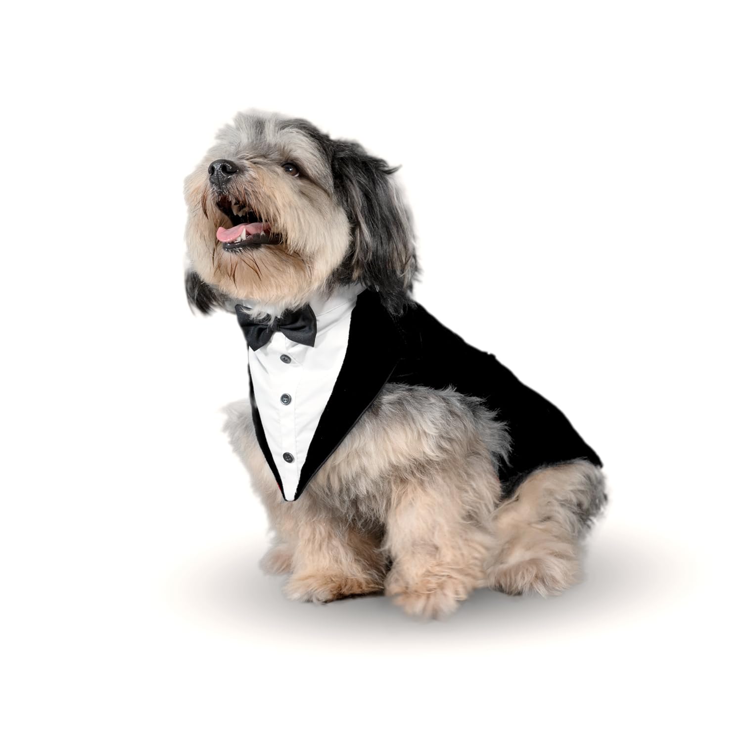 Puptail Dog Suit Or Dog Tuxedo And Bandana Set, Dogs Wedding Party Suit, Dog Wedding Bow Tie Shirt Formal Dog Weeding Attire For Large And Medium Dogs Golden Retriever, Labrador Large Black