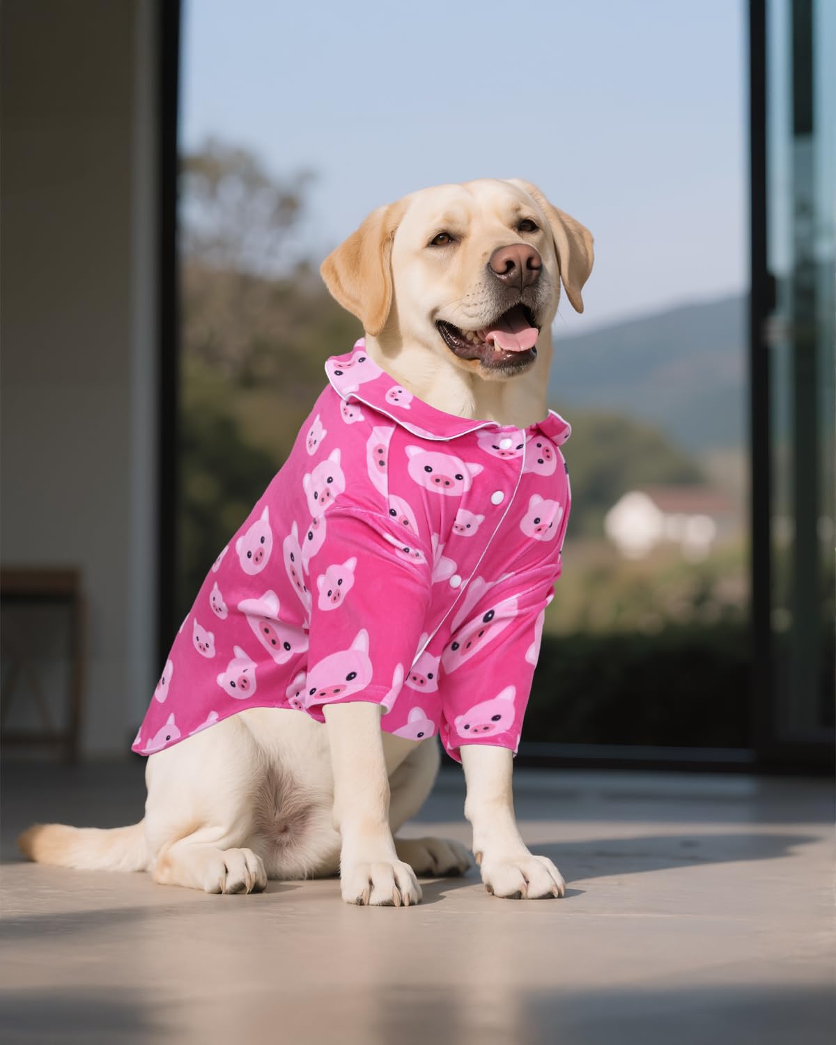 Cutebone Two-Leg Spandex Crystal Velvet Pet Pajamas - Soft, Cozy, And Stretchy Sleepwear For Dogs And Cats Ltp02Xxl